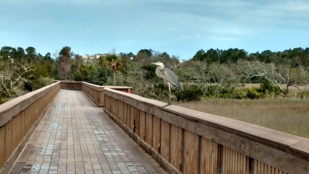 Hilton Head Resort Hilton Head Island Exterior foto